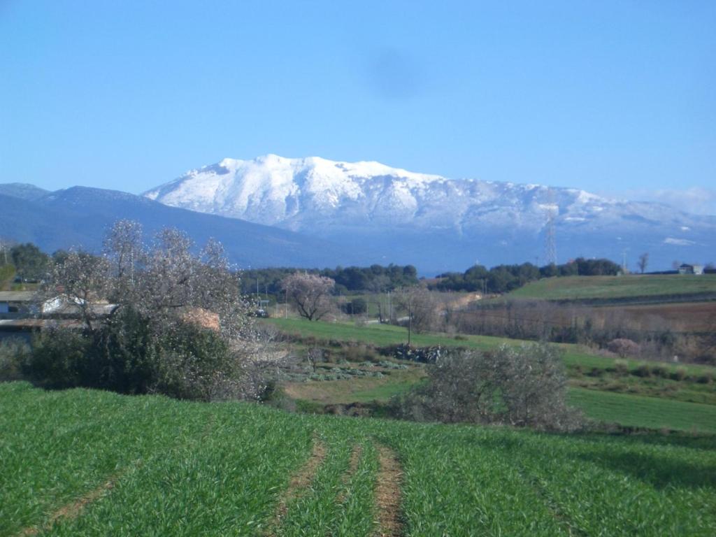 Mas Cabrit photo 2