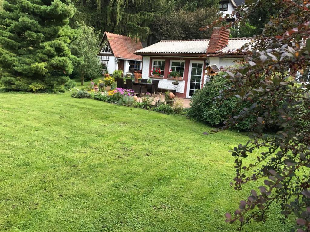 Ferienhaus zum Vogelnest photo 1