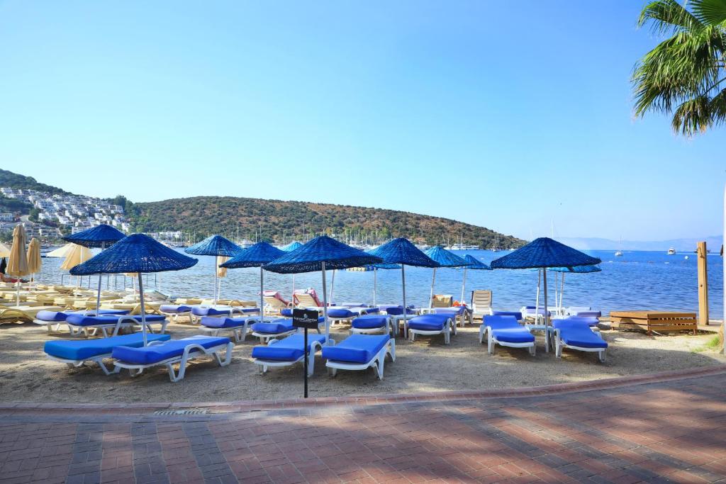 Summer Garden Suites Beach Hotel photo 4