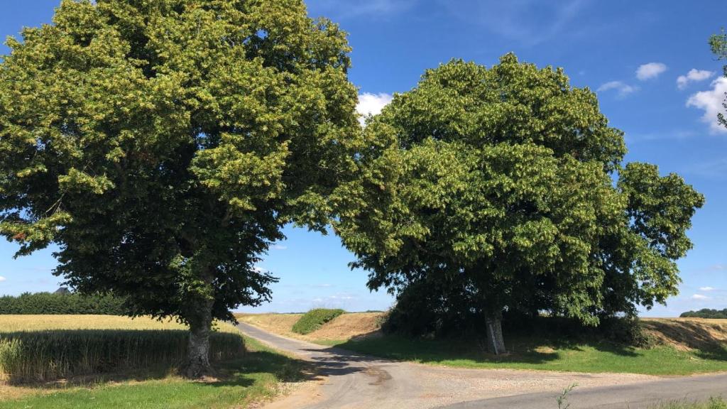 Le gîte de Ballage photo 1