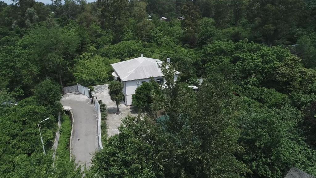 Maguli Home Gonio photo 1