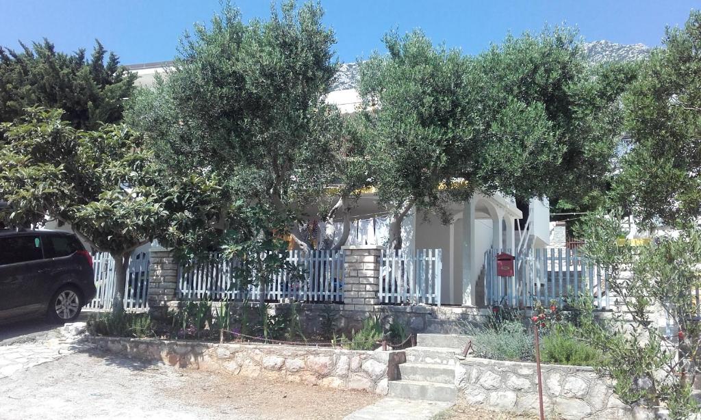 Apartment Milka by the Sea photo 4
