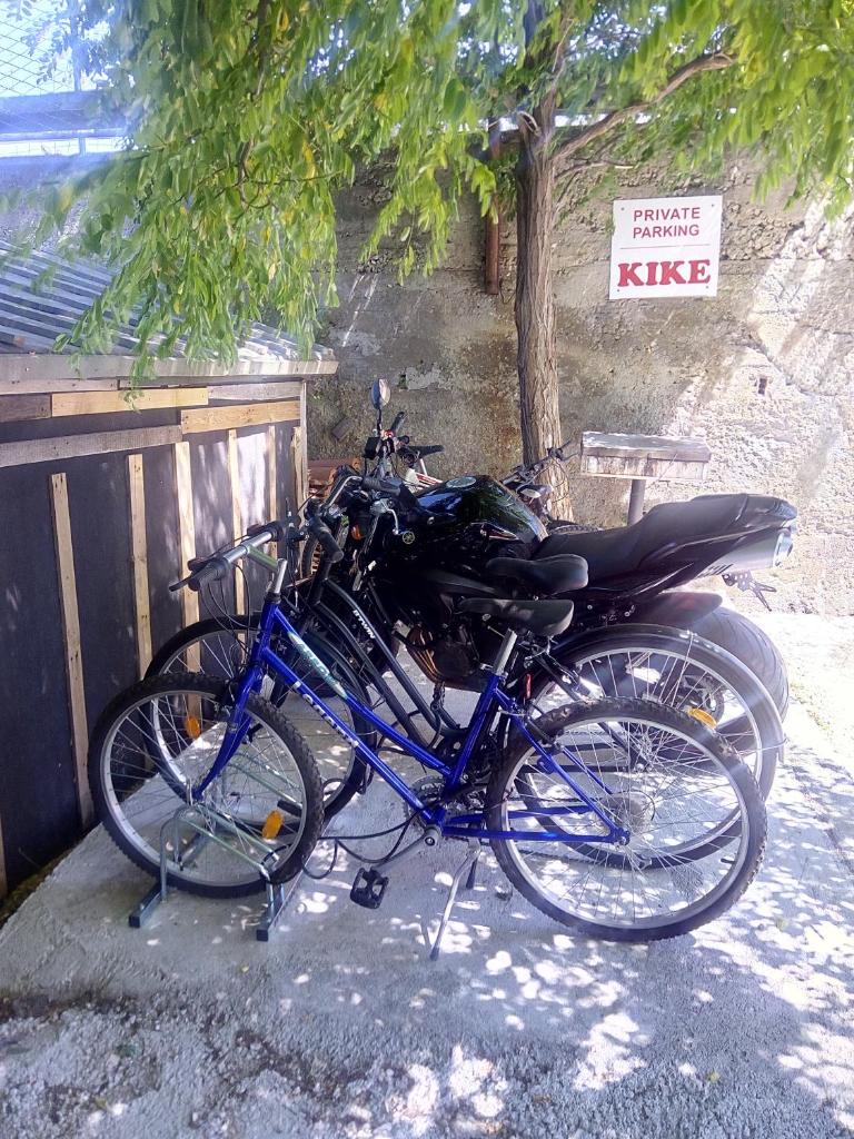 KIKE red photo 2
