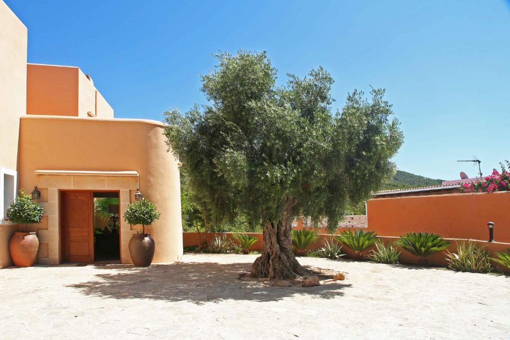 Villa Ses Marjades photo 4