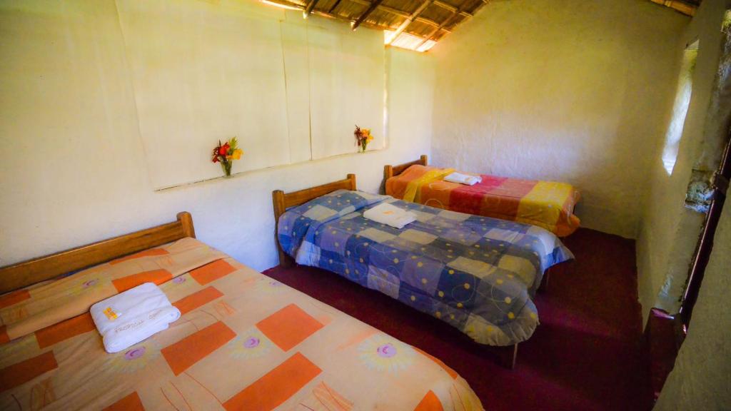 Tropical Lodge photo 2