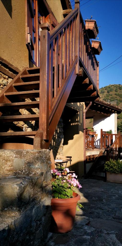 Maritsa Lodge photo 3