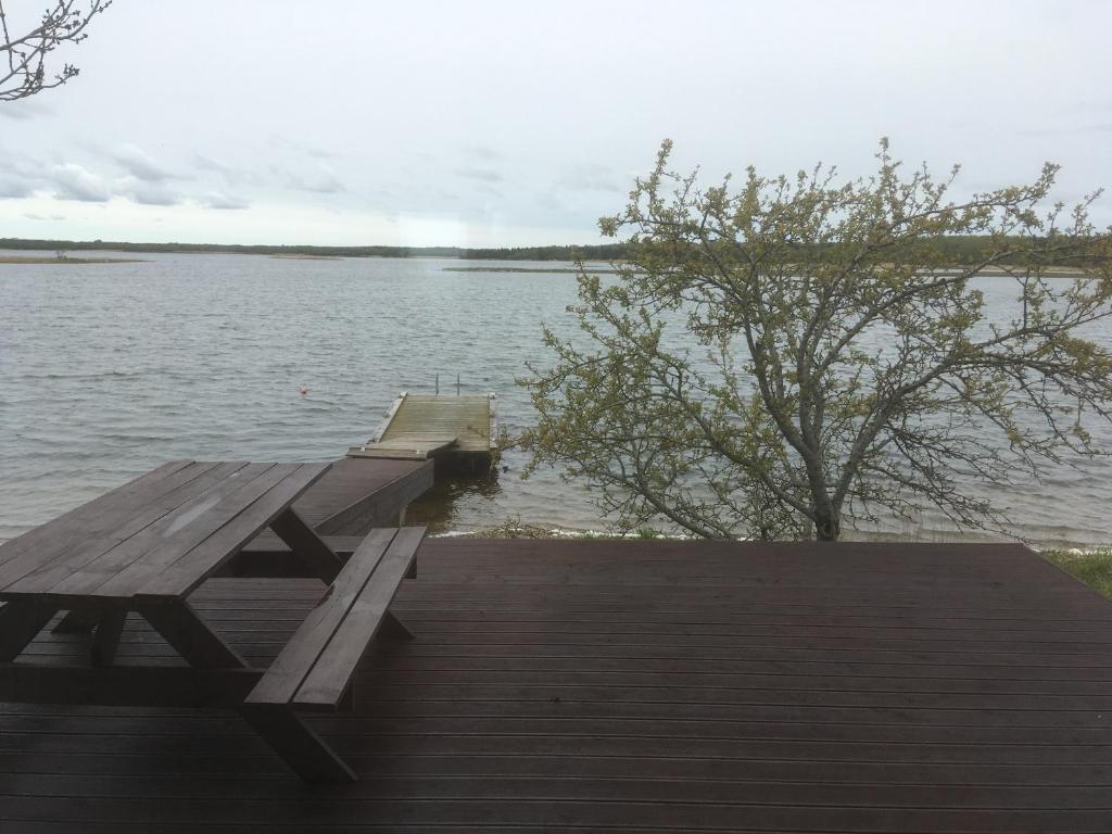 Seaside cottage photo 4