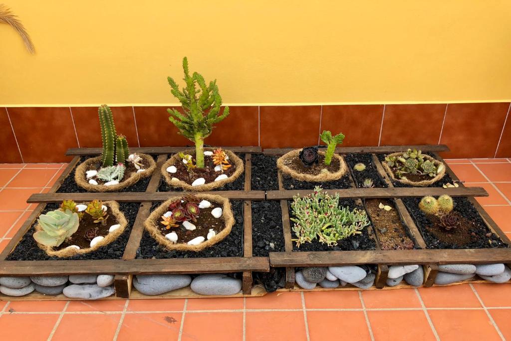 Apartamentos Los Verodes photo 4