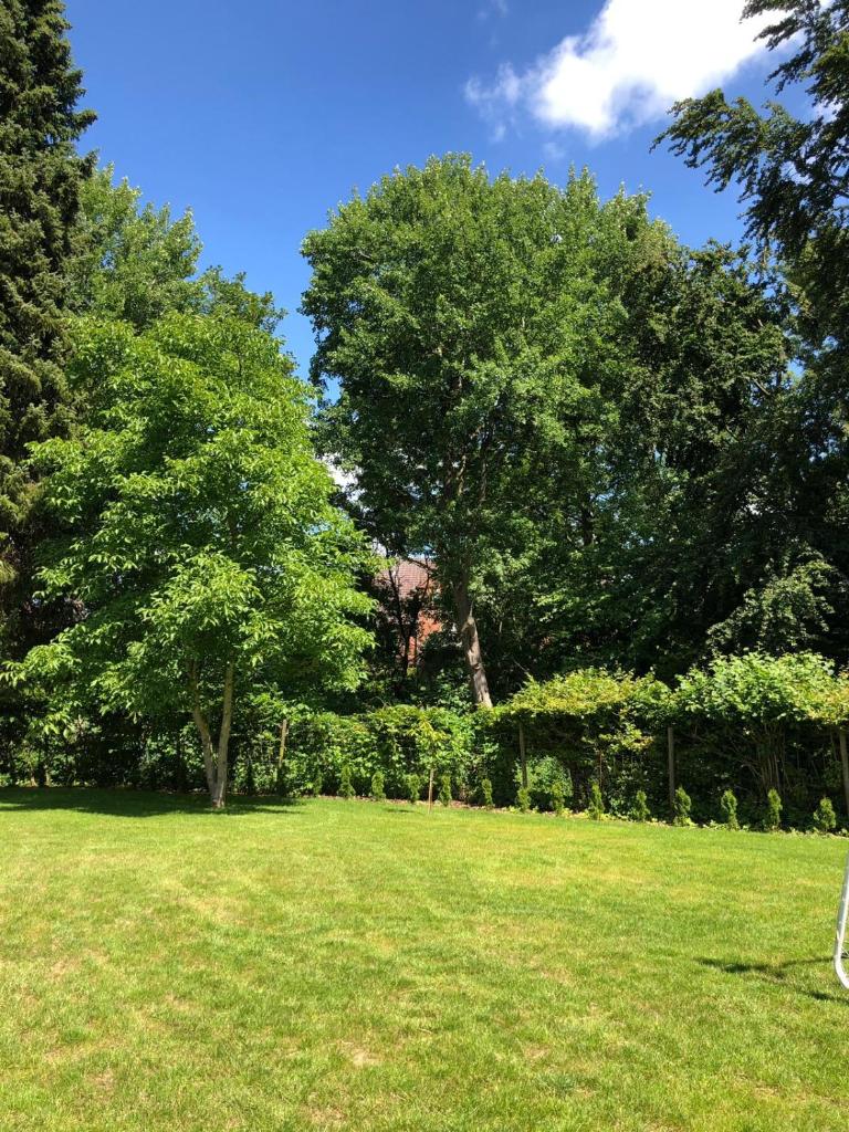 Ferienhaus Bäk-Ratzeburg photo 1