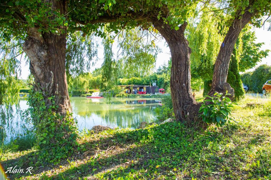 PARADISE CHALLETS AND CAMPING photo 2