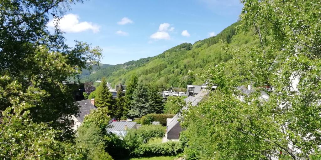 LA MONTILLE photo 2