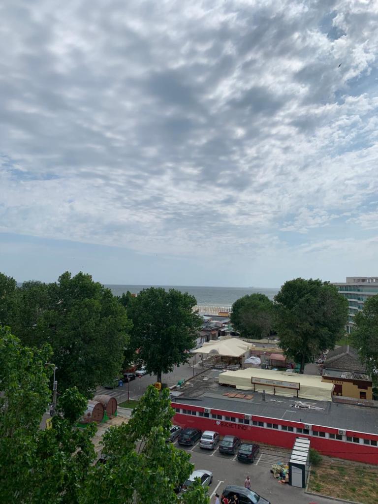 Апартаменты (Апартаменты с 1 спальней), Arlequin Apartments