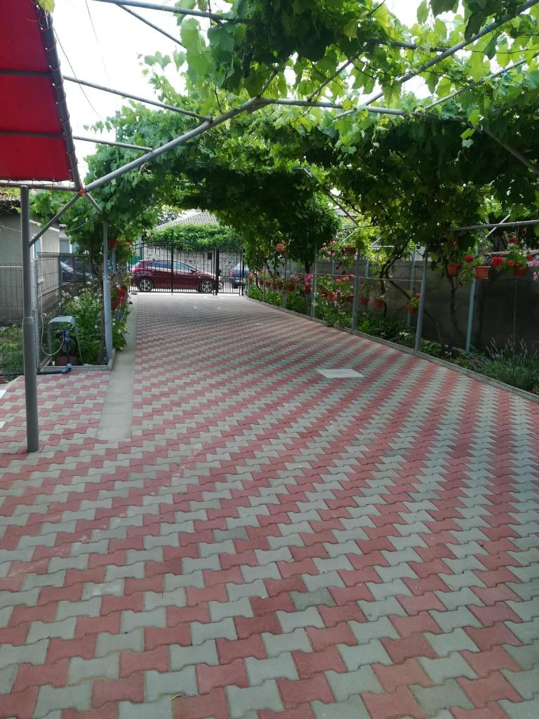Vila Andre photo 1