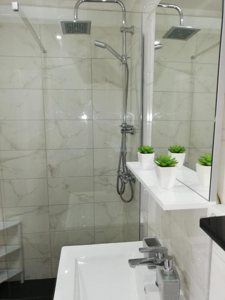 Apartment Stojan A1 photo 4