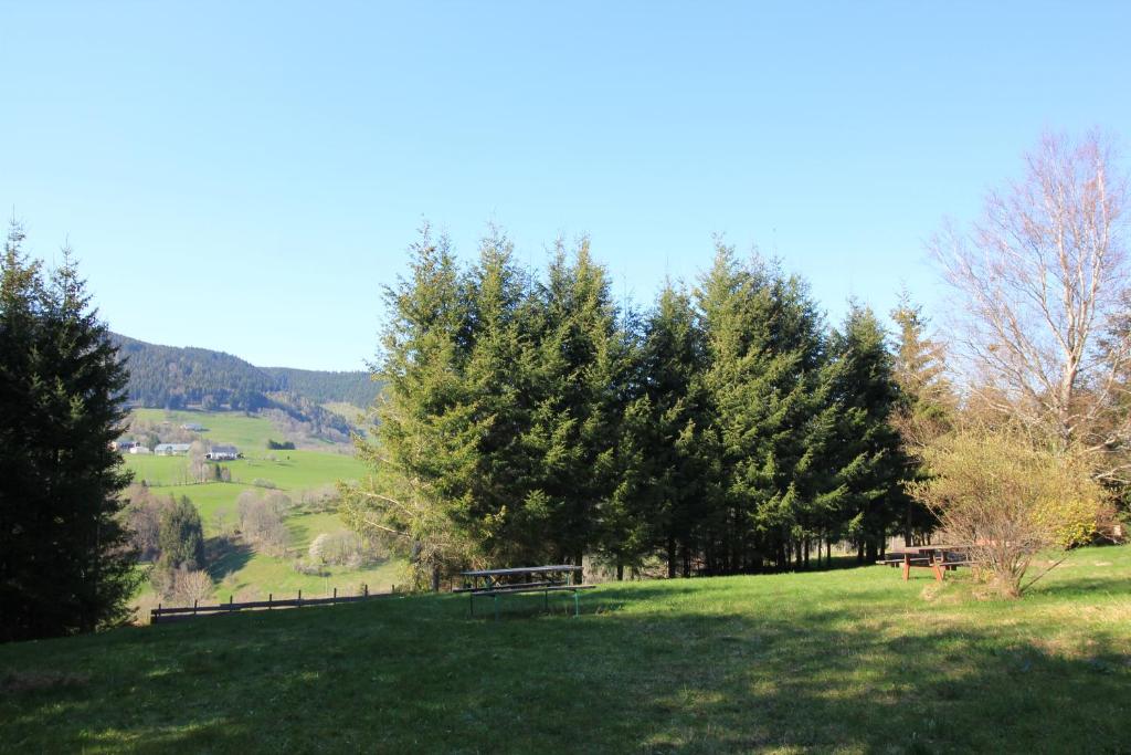 Gîte Les Jonquilles photo 3