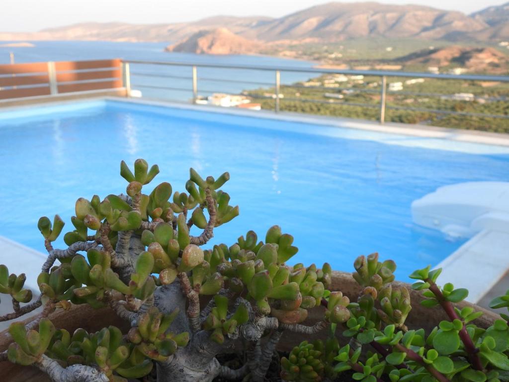Villa Aiolos photo 3