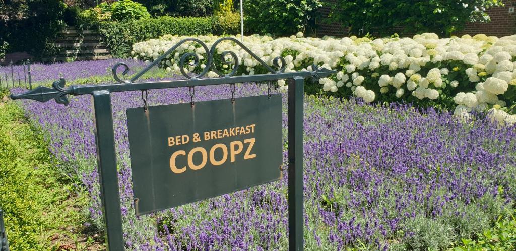 Bed & Breakfast Coopz photo 3