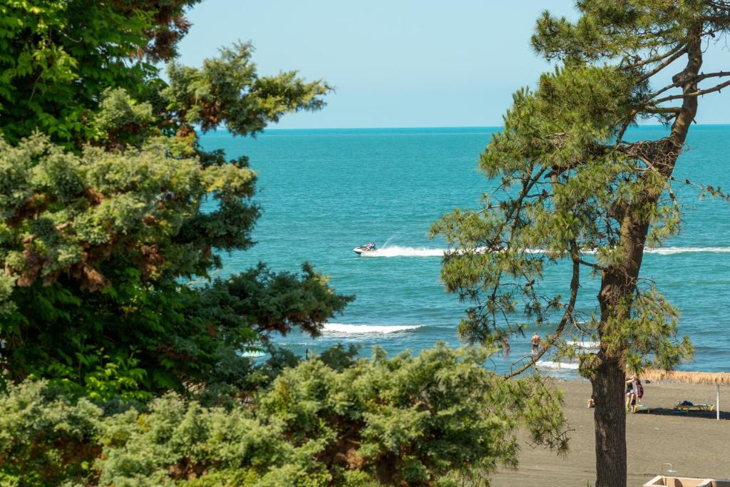 Kolkhida Resort & Spa photo 4