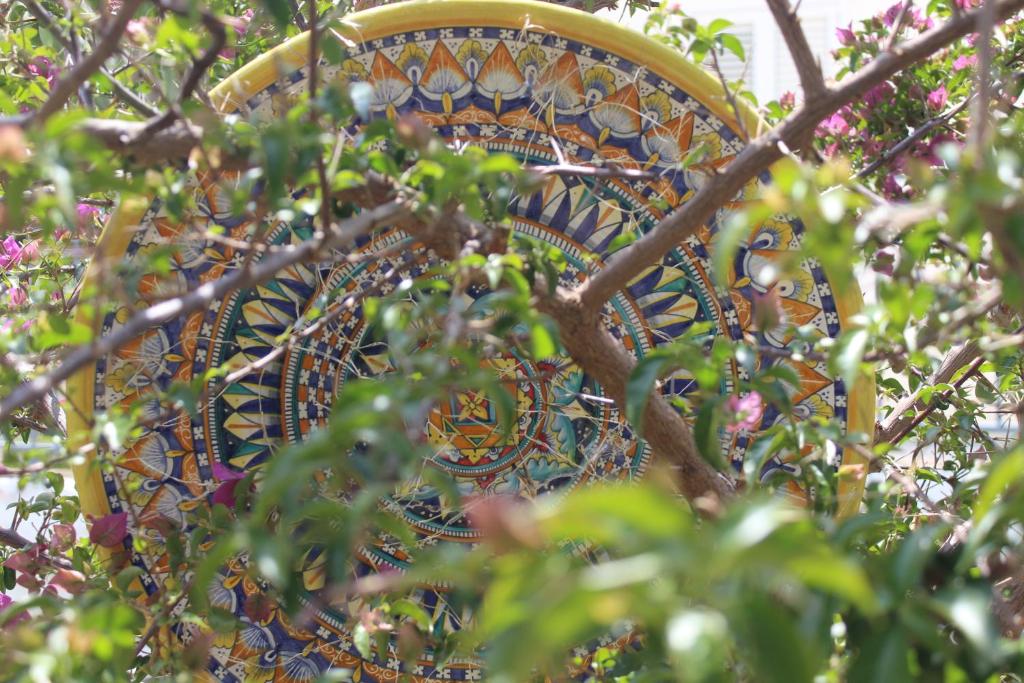 Mediterraneo B&B photo 4