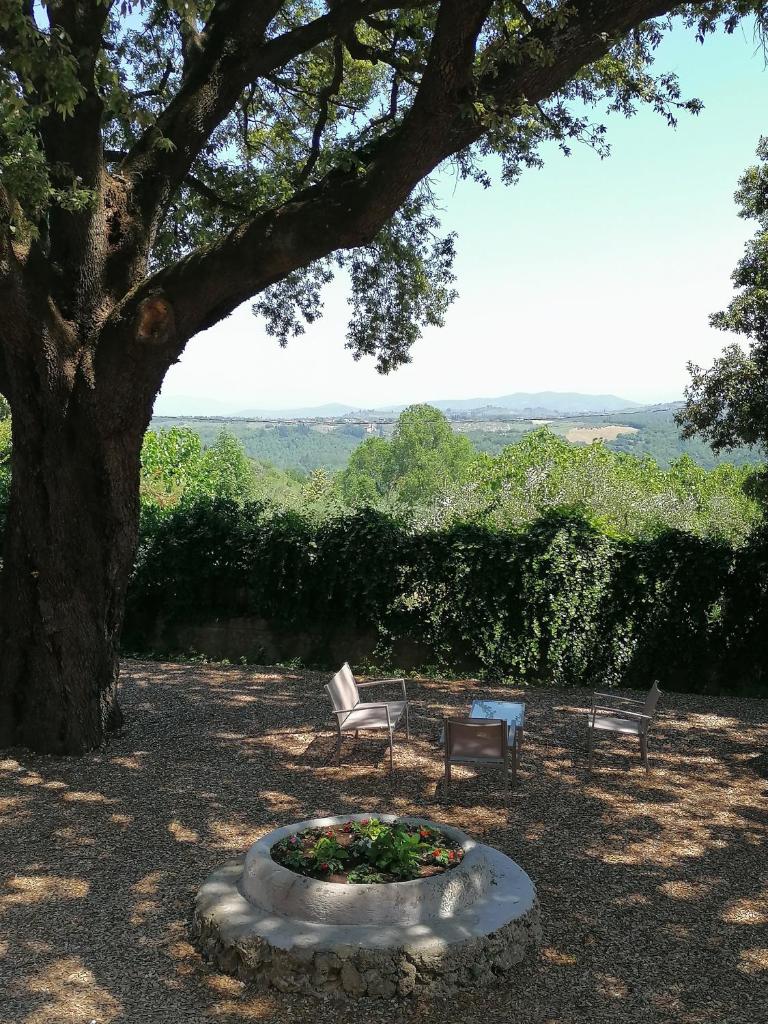 Villa Moris bed and breakfast photo 3