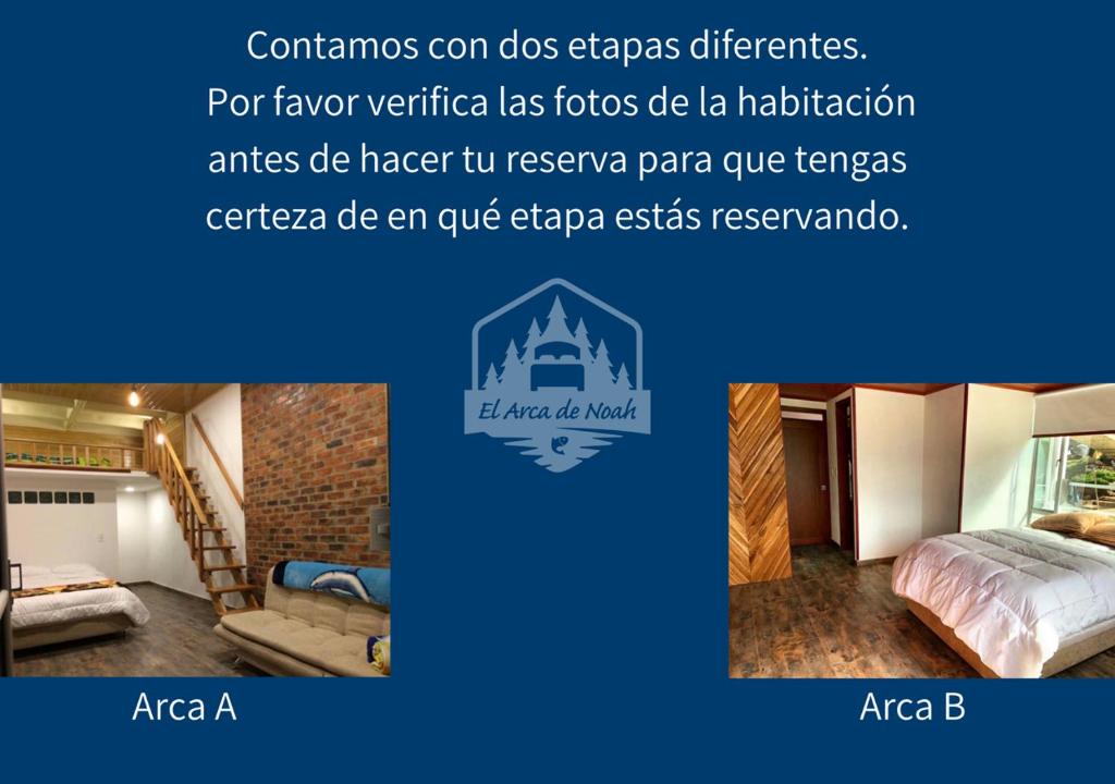 El Arca de Noah photo 2