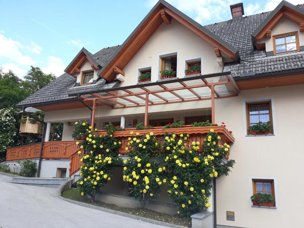 Turizem Loka - Hotel Loka photo 3