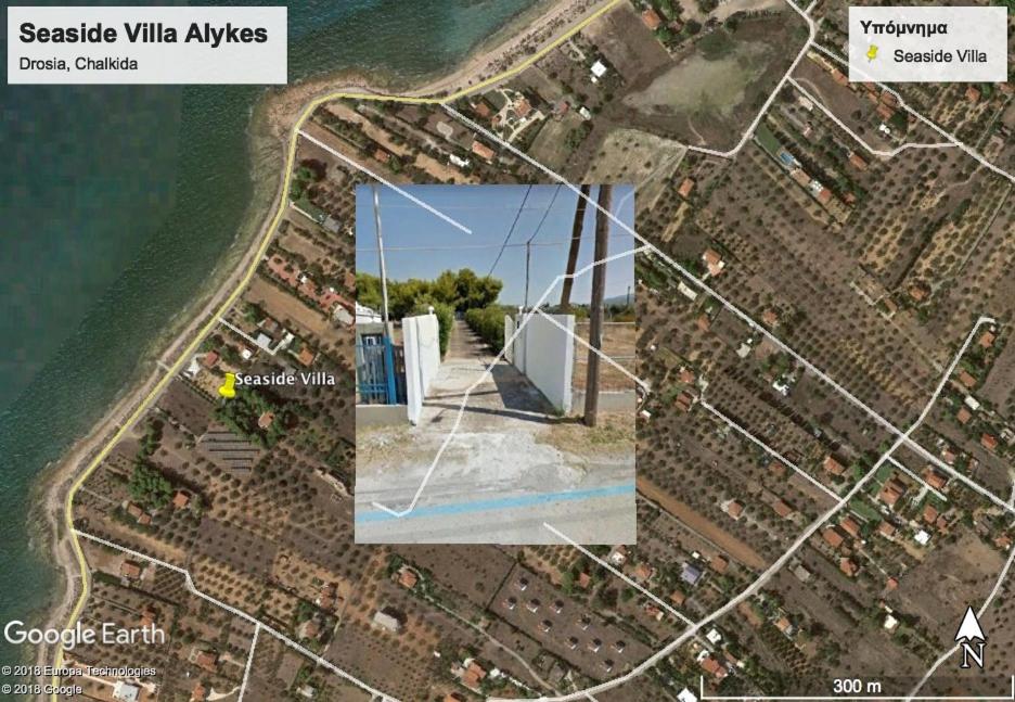 Seaside Villa in Alikes, Chalkida photo 2