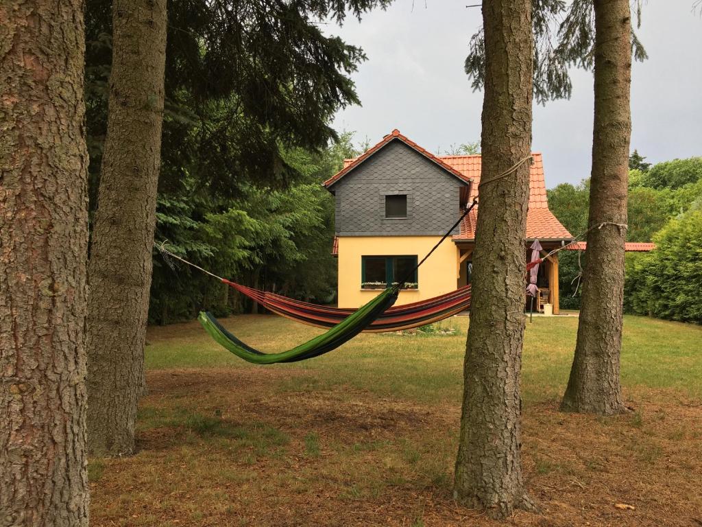 Mirow-Lärz- Ruhe Pur- Wald&See - Sauna-Haus mit Grundstück photo 2