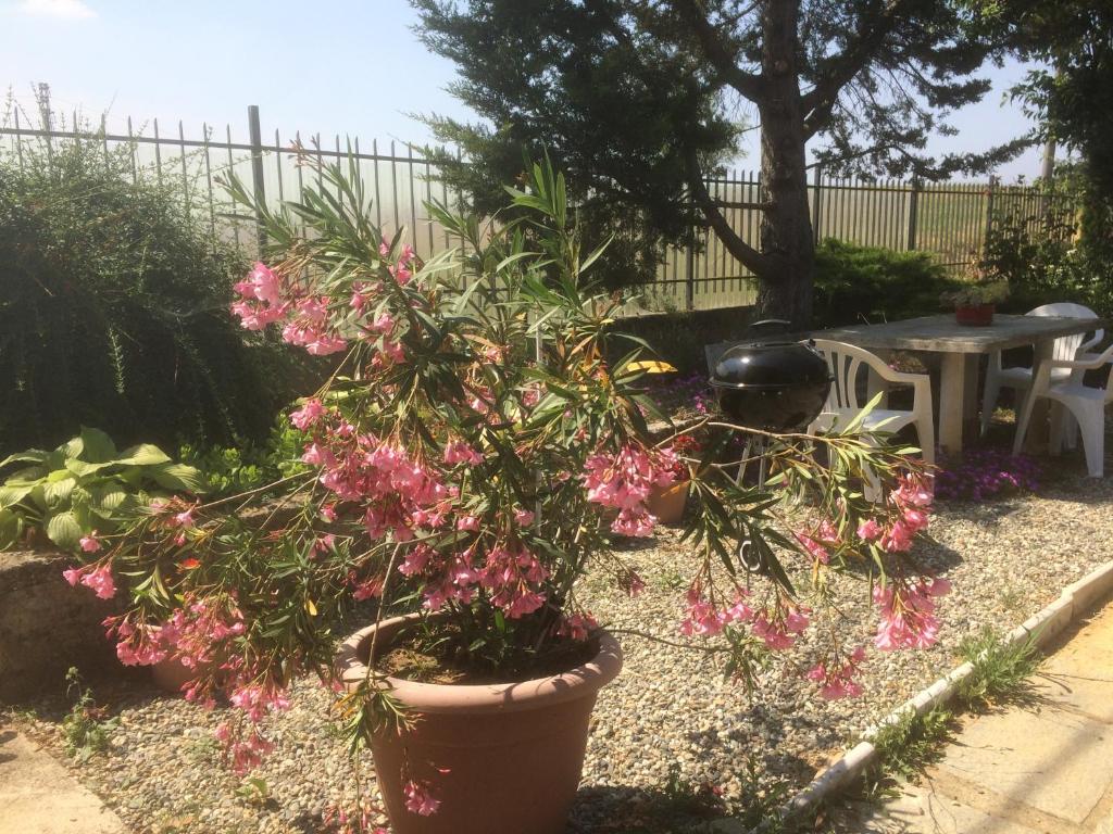 Ca' Fiorita photo 4