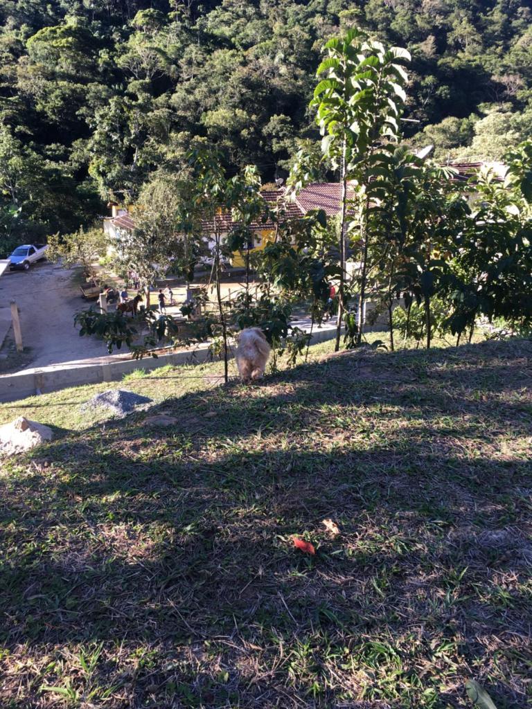 Meu cantinho na serra photo 4