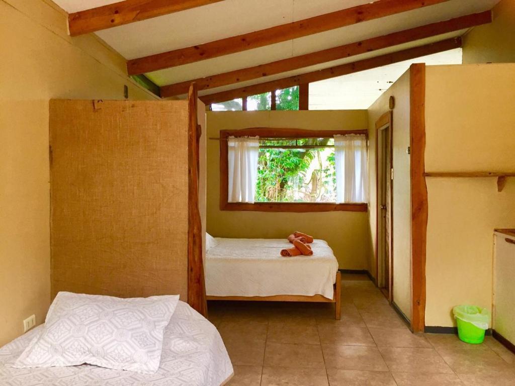 Cabañas Moenga photo 4