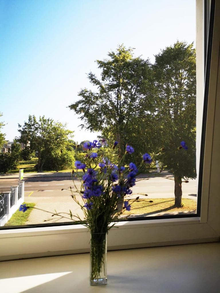 Двухместный (Бюджетный двухместный номер с 1 кроватью), Info Hotel Apartments