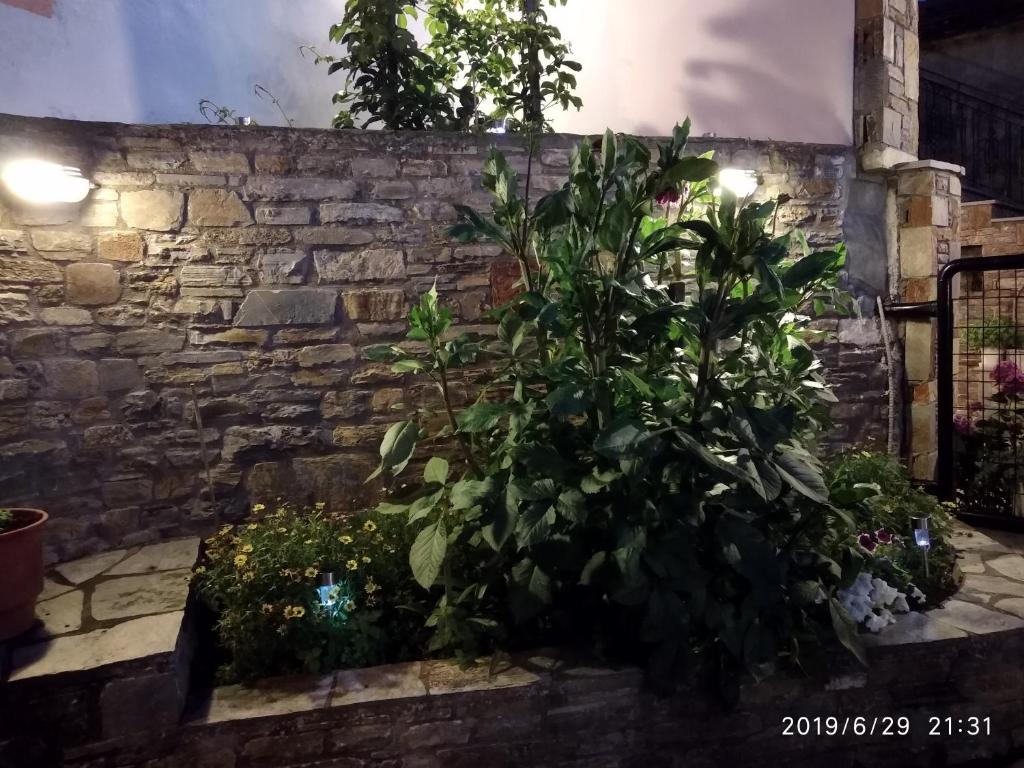 Liana's dollhouse in Agios Georgios Nilias, Pelion photo 4