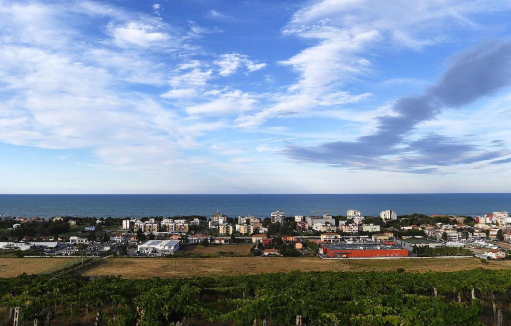 Residence Gambrinus photo 4
