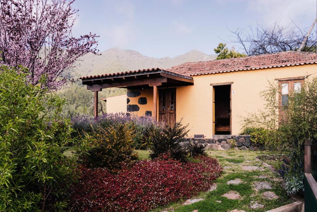 Casa Elena photo 2