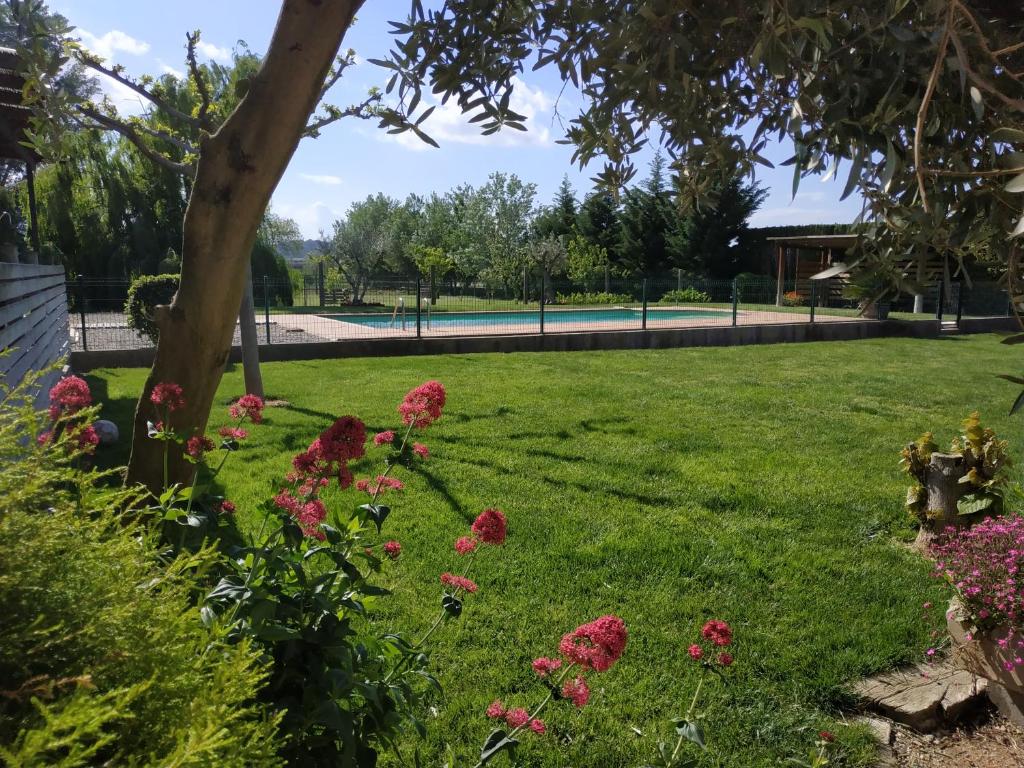 CAN PLANAS photo 2