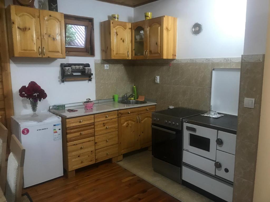 Apartment Anica photo 3