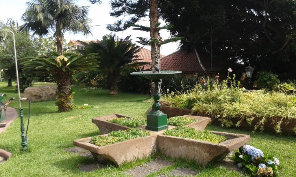 Finca San Antonio photo 4
