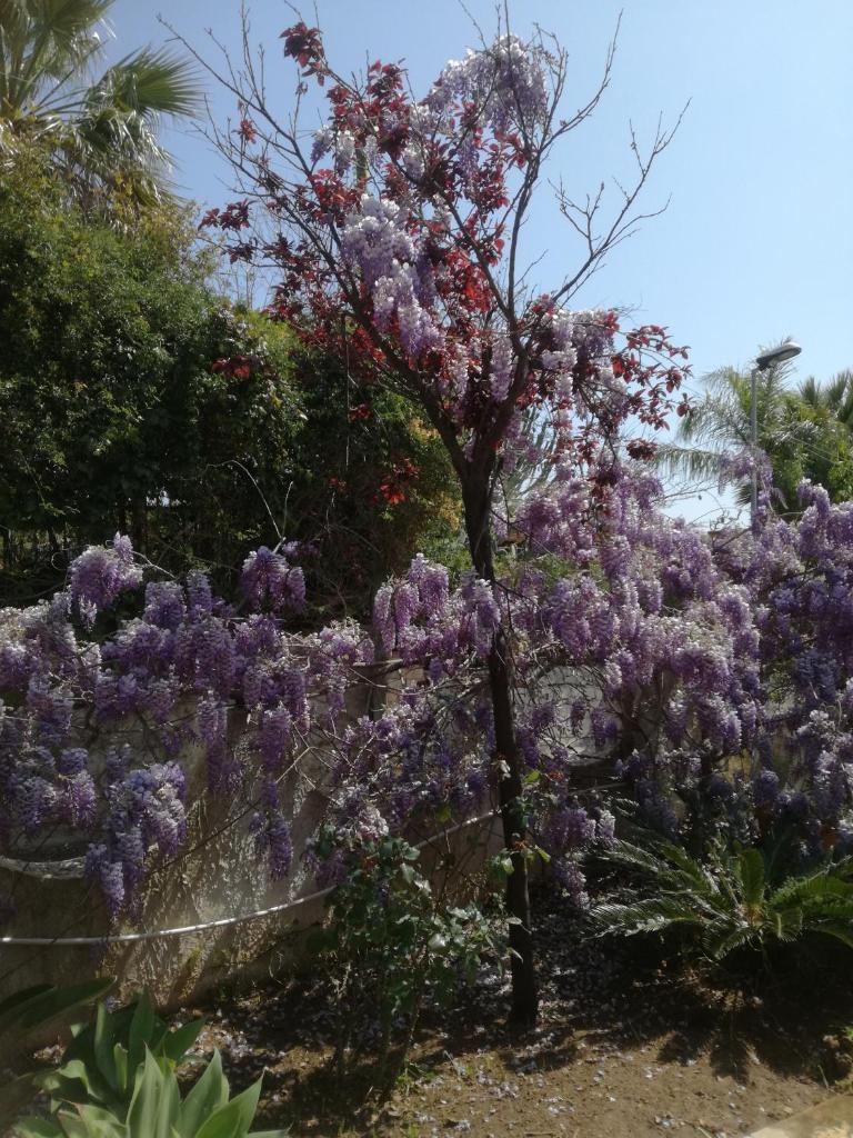 Holiday House Torre Di Manfria photo 4