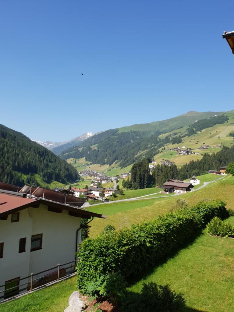 Amalia Haus photo 4