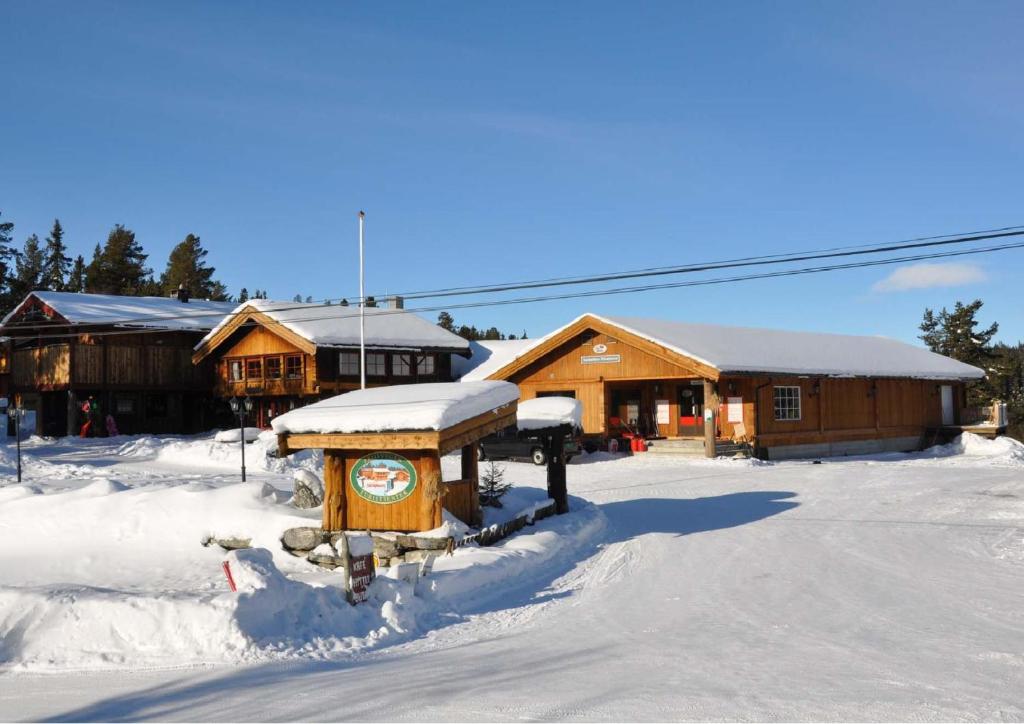 Måsåplassen Friisvegen Mountain Lodge photo 3
