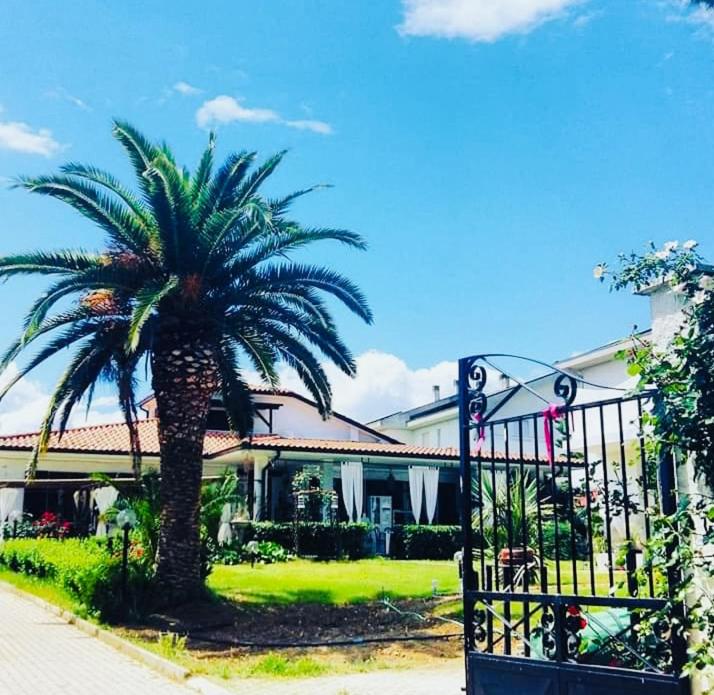 Villa Tropical photo 3