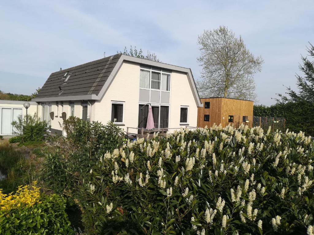 B&B Bovenweg photo 2