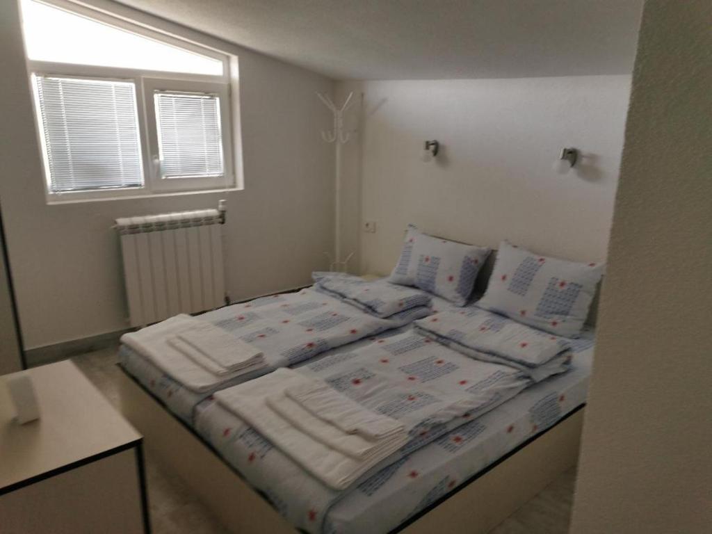 Diva Kompani Rooms photo 4
