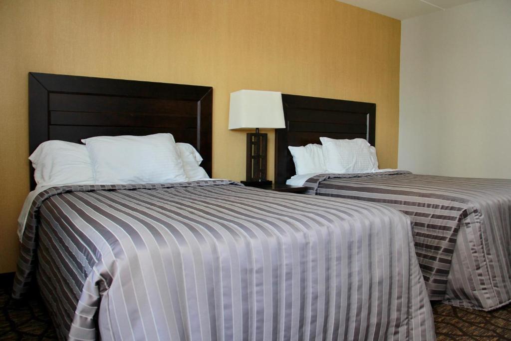 Victoria Motor Inn photo 3