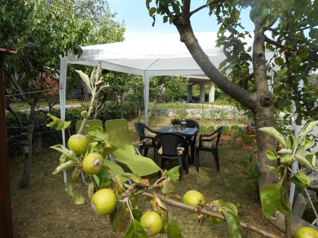 Apartman Sara photo 3