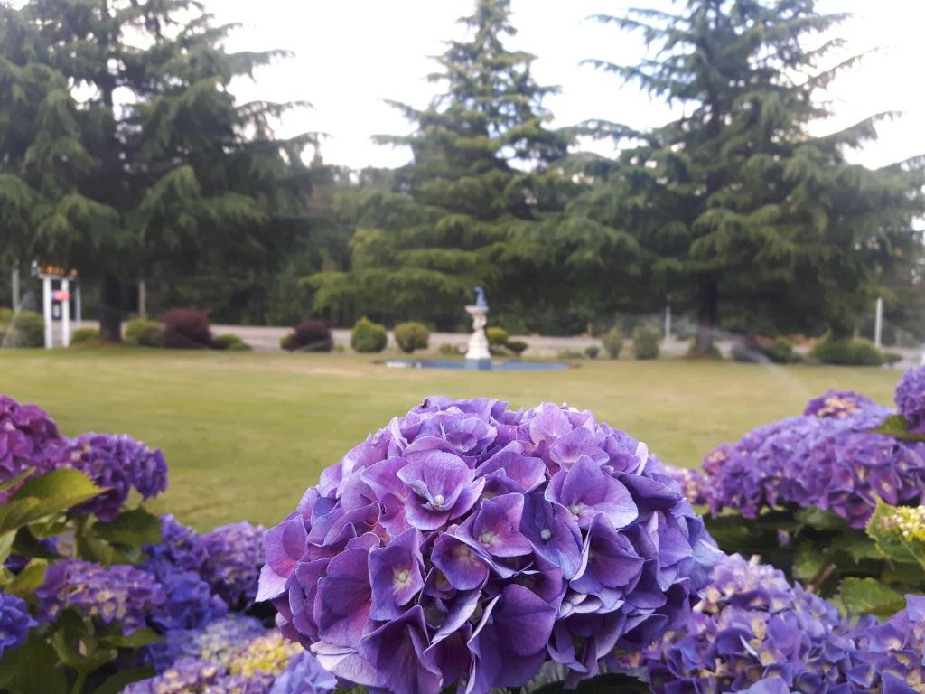 Fuller Lake Chemainus Motel photo 4