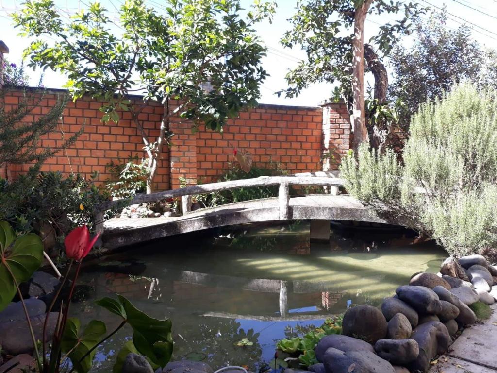 Tú Anh photo 1