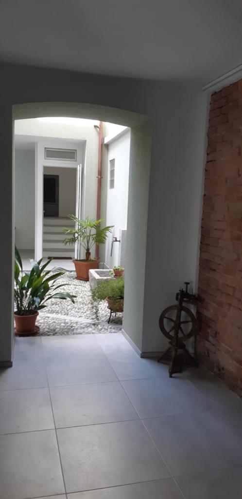 Guest House Green Heart photo 4