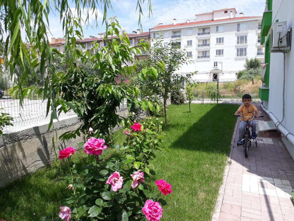 Dr Aslan Apart Hotel photo 3